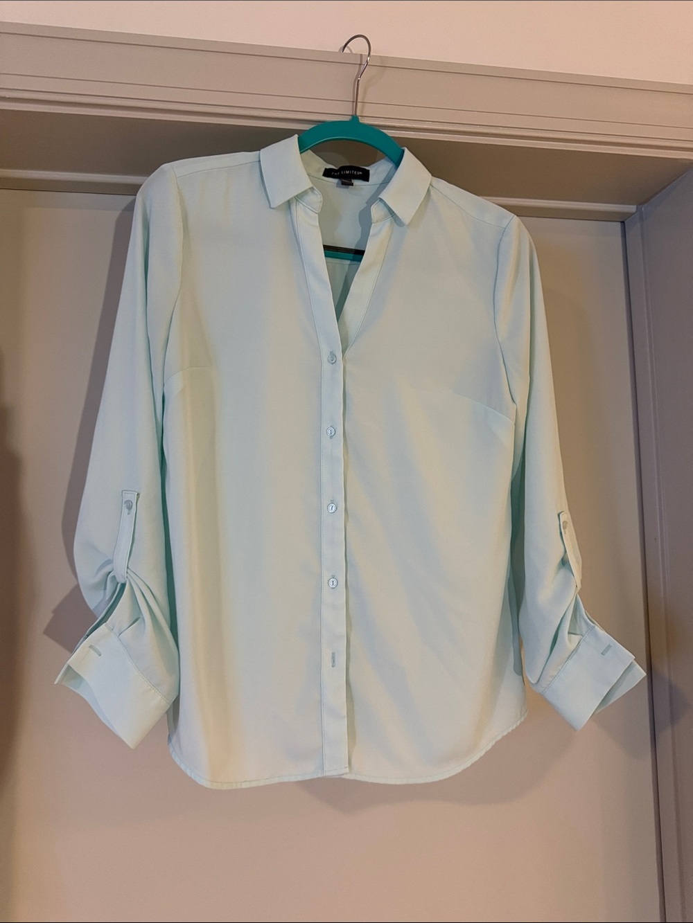 The Limited Mint Green Collared Blouse